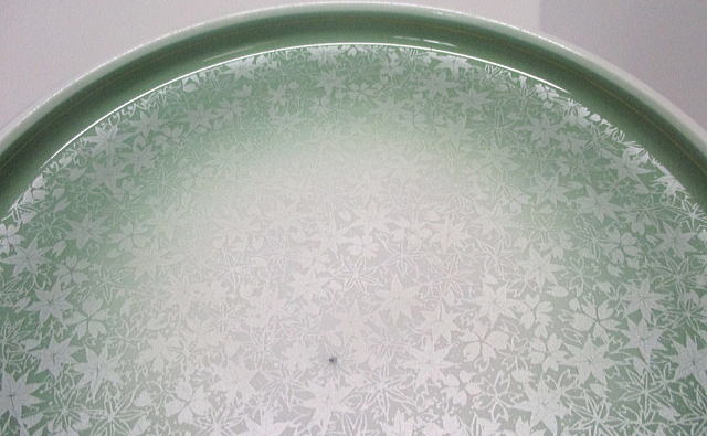 陶器　丸皿　グリーンボカシ　春秋の中の模様